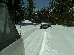 Leonel following my tracks