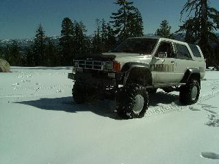 Snow crawlin'