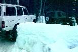 Das Beast in action