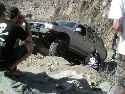 Marlin crawler - automatic