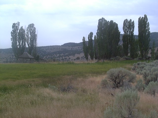 P1020627