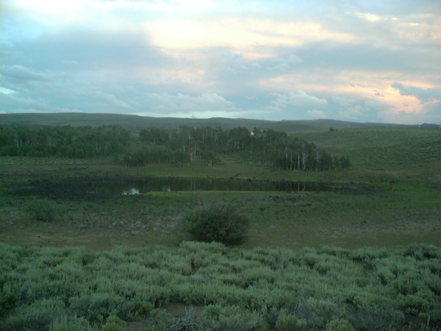 P1020636