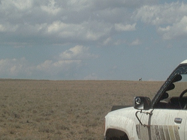P1020651