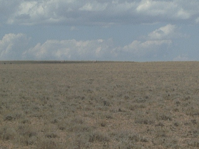 P1020652
