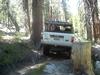 Rounding the infamous tree squeeze from the Rick Russel video, the lower tree seems to have been cut down.